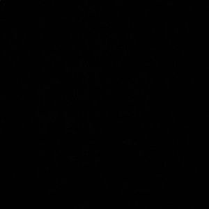 Meet your Posher, Sofia